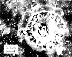 A vida na lua existiu: Espaçonave russa retornou com evidências em 1970