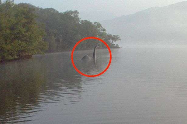 Investigador diz que monstro do Lago Ness "parece com a baleia extinta"