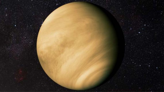 A vida em Vênus teria que ser um "novo tipo de organismo"