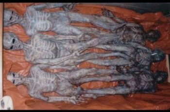 corpos de alienígenas