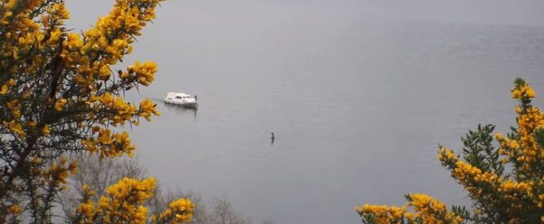 Lago Ness