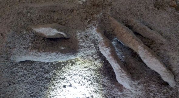 Atualização sobre o estudo científico das múmias de 3 dedos de Nazca
