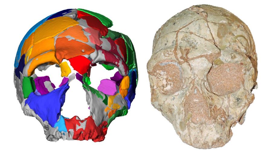 Crânios encontrados na Grécia podem reescrever a história humana 