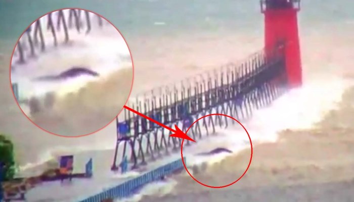 Criatura gigante é filmada no lago Michigan durante uma tempestade
