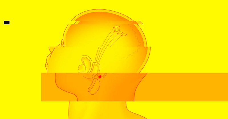 Unir nosso cérebro com a Inteligência Artificial será suicídio, diz cientista