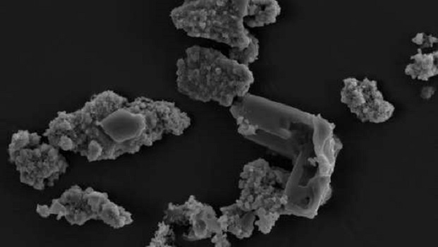 Vida na Terra pode ser explicada por bactéria que se alimenta de asteroide 