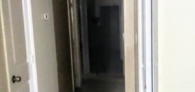 Investigadores capturam imagem de "pessoa sombra"