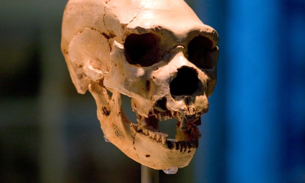 Os primeiros humanos cruzaram com 'população fantasma'