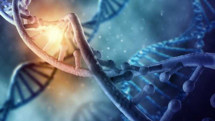 Iniciativa Genômica SETI identifica sinal alienígena potencial no DNA humano
