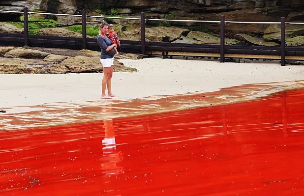 Praias, lagoas e rios ficam vermelhos ao redor do mundo