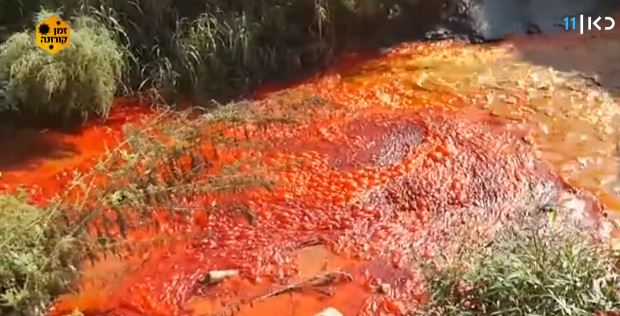 Praias, lagoas e rios ficam vermelhos ao redor do mundo