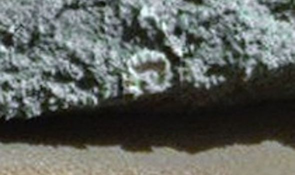 Teria sido encontrado o fóssil de um caracol em Marte?