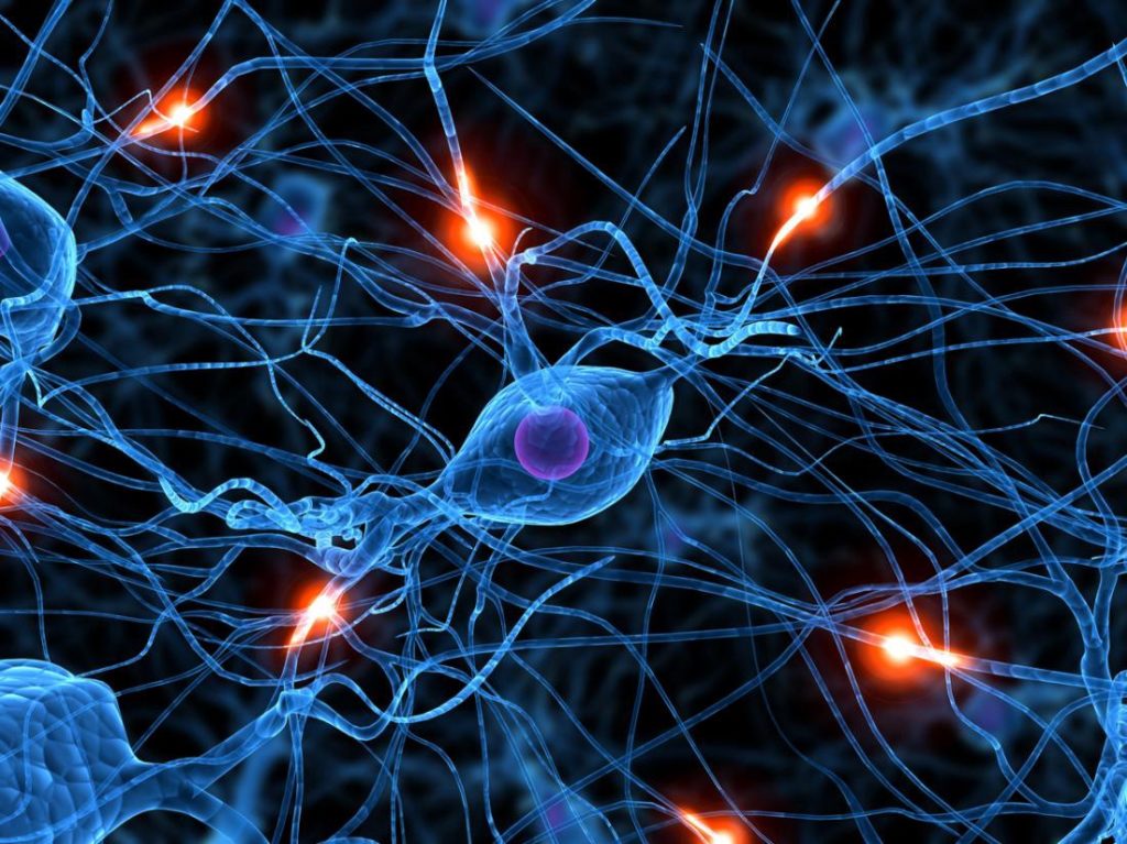 "Todo o universo pode ser uma rede neural", diz físico