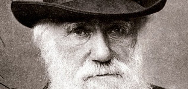 Olhando para o 'mistério abominável' de Darwin