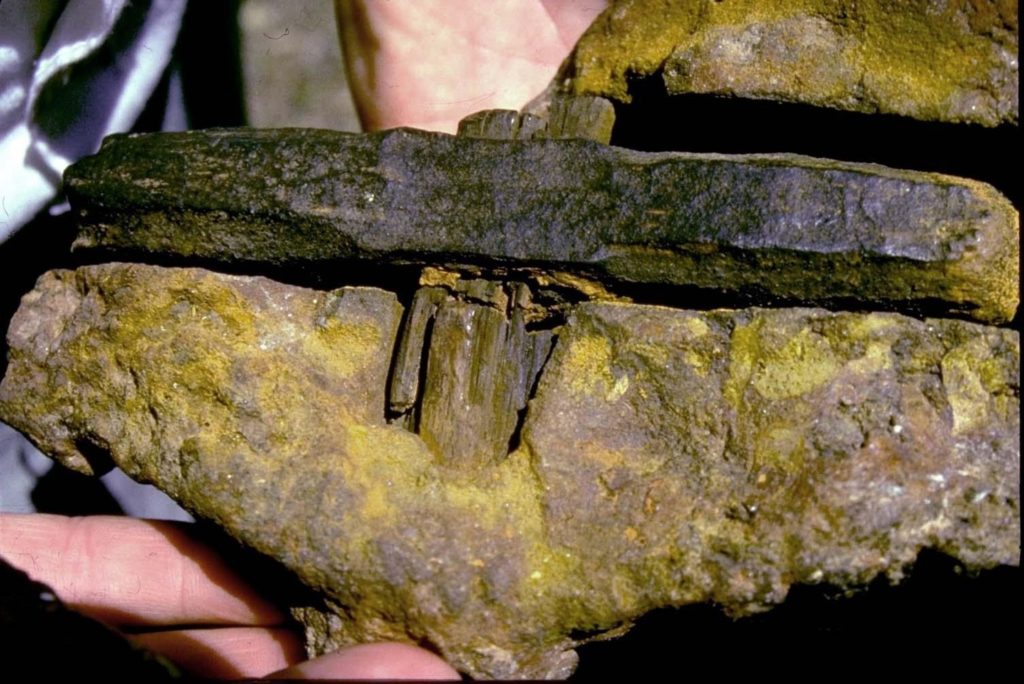 Seria este um martelo com mais de 100 milhões de anos?