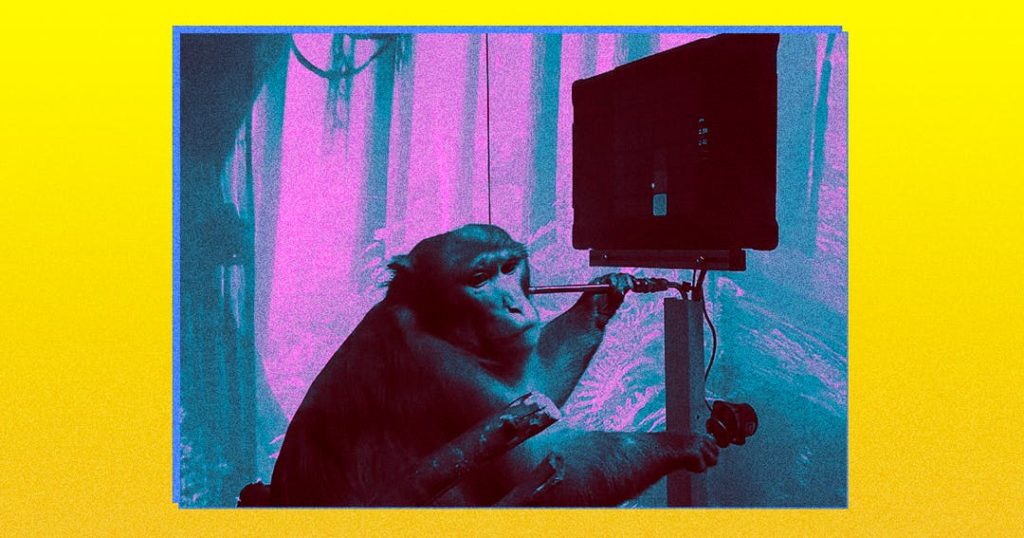 Famoso neurobiólogo fala mal da demonstração do macaco da Neuralink