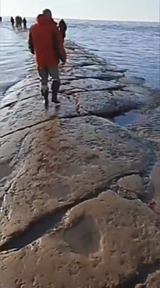 Uma misteriosa "estrada" de pedra gigante surge no Oceano Pacífico