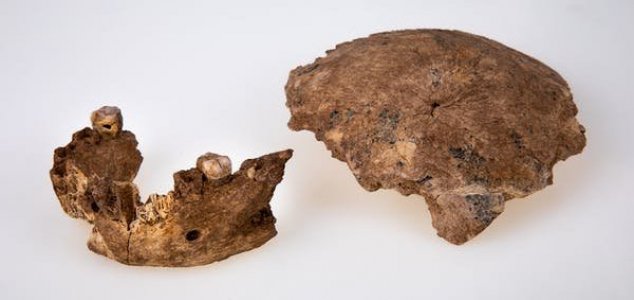 Novo tipo de humano antigo é descoberto em Israel