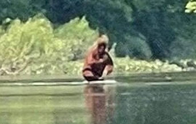 Bigfoot carregando um filhote pelo rio foi fotografado no Michigan, EUA