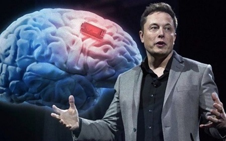 Elon Musk diz que quer colocar chips em cérebros humanos em 2022