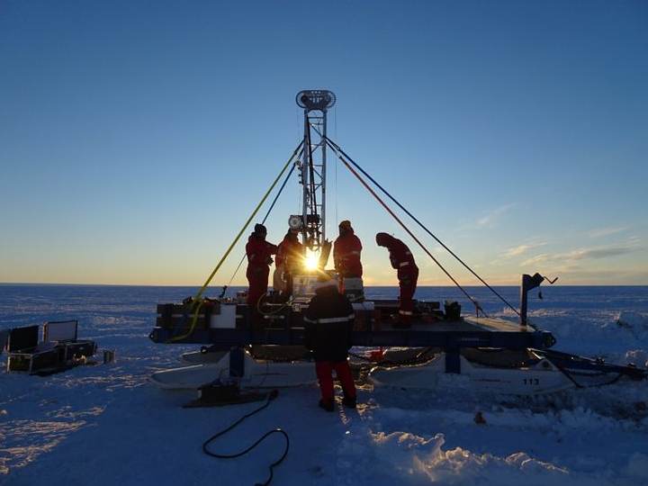 Abundância de vida é descoberta sob plataformas de gelo da Antártica