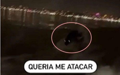 Criatura misteriosa persegue homem em barco no Rio Grande do Sul