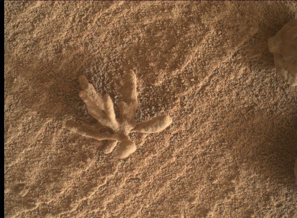 NASA está chamando isto de "rocha em Marte"?