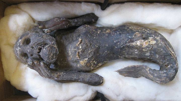 Cientistas tentam desvendar mistério da "múmia sereia"