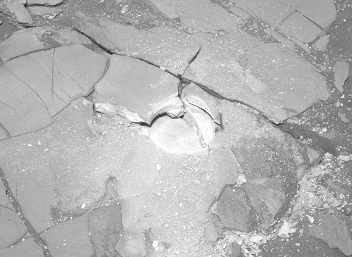 Vida Antiga em Marte? Sonda Perseverance encontra rochas curiosas
