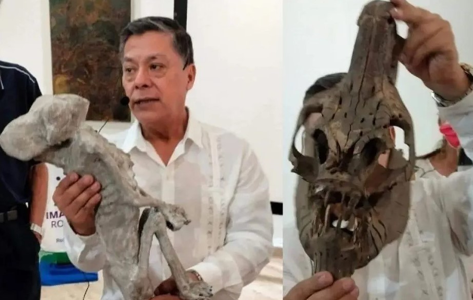 Cientista mexicano descobre múmia e enorme crânio "alienígenas"