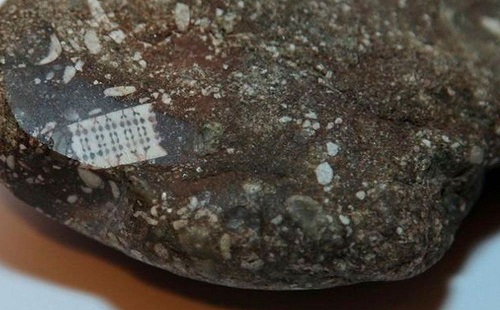 Mistério do microchip inserido em rocha antiga é resolvido