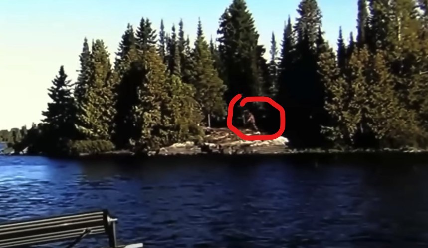 "Bigfoot" é filmado em área remota de Ontário, Canadá