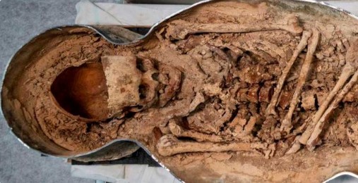 Crânio alongado serrado é encontrada em sarcófago de Notre Dame