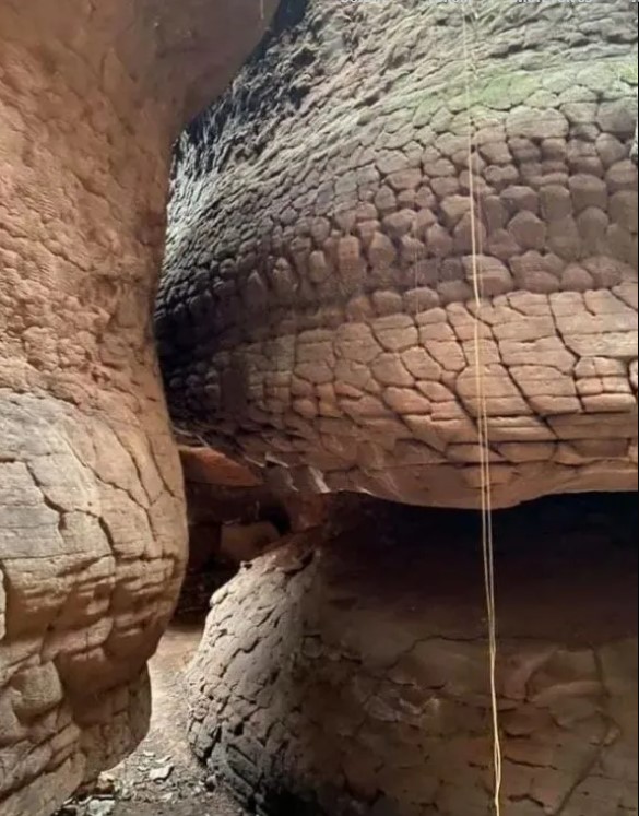 Seria este o fóssil de cobra gigante petrificada em caverna da Tailândia?