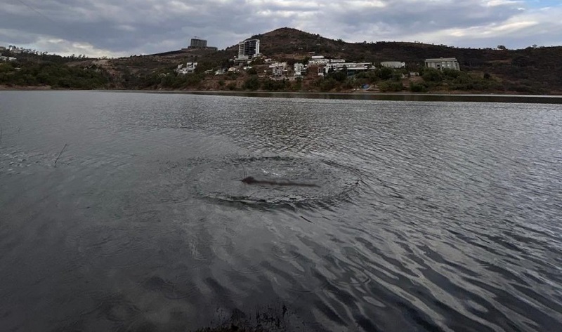 "Monstro do lago" é fotografado na represa de Madin, México