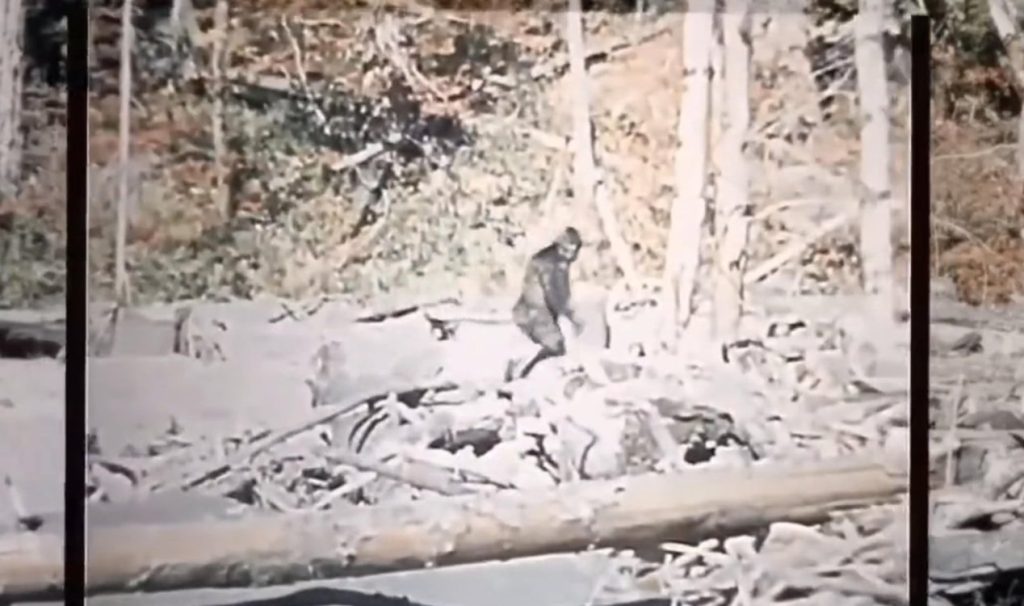 O vídeo Patterson-Gimlin do Bigfoot foi estabilizado usando IA