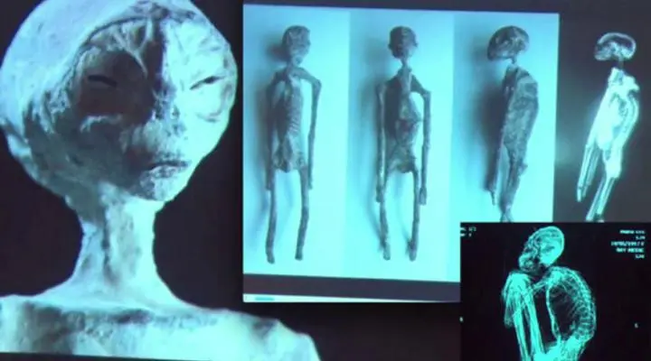 As múmias de ETs apresentadas no México são reais ou não?