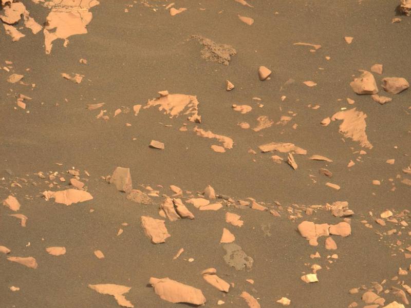 Seria este um pequeno cogumelo em Marte? NASA explica